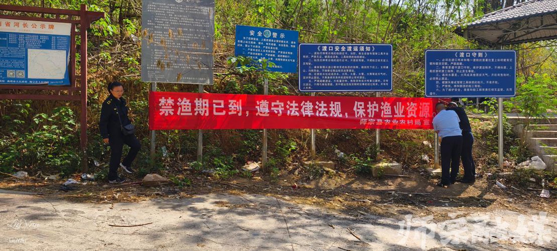 参籽网